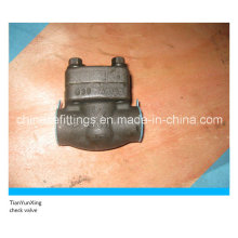 ANSI Forged Steel Piston Type Thread Check Valve